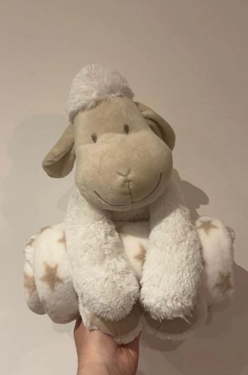Plaid bébé avec sa peluche
