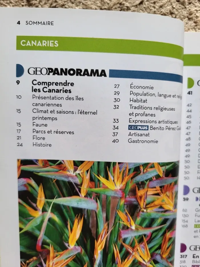 Livre de voyage Geoguide Les Canaries - photo numéro 6