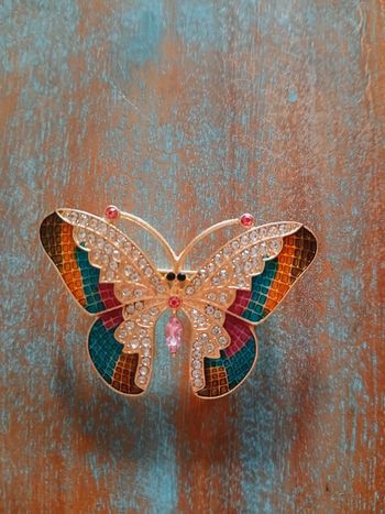 Papillon coloré avec strass