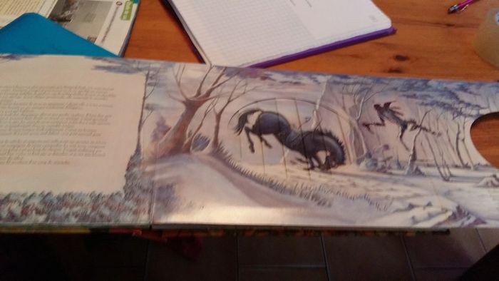 Livre "Au bonheur des chevaux " - photo numéro 3