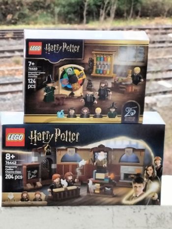 Lego Harry Potter le cours des sortilèges et la cérémonie du choixpeau magique 