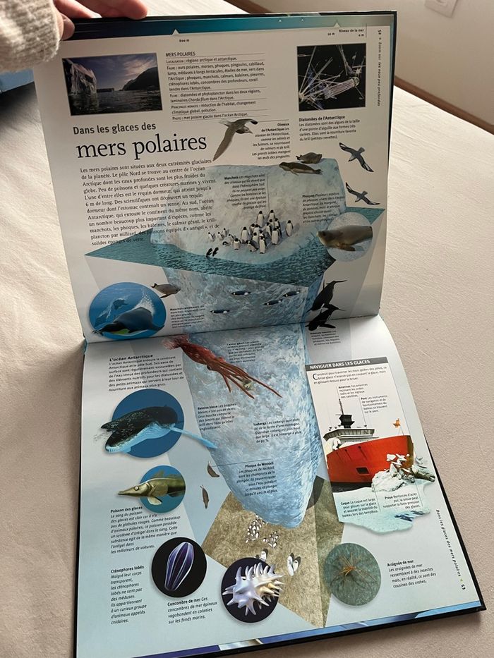 Livre - photo numéro 3