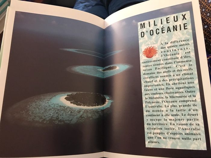 🎄 Méga nature - 9/13 ans 🎄 - photo numéro 4