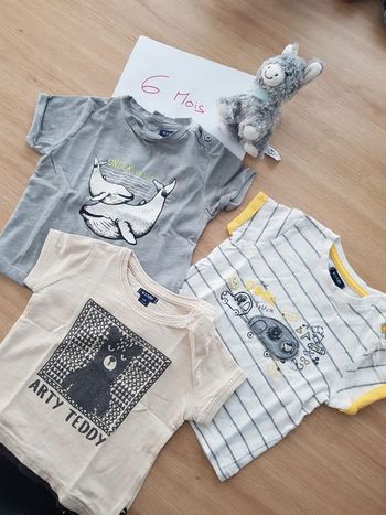 Lot 3 t-shirts bébé garçon