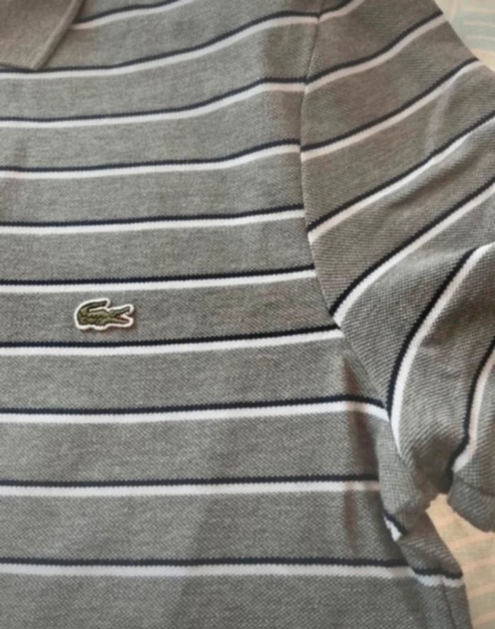 Polo gris Lacoste - photo numéro 6