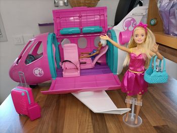 Lot gros avion + 2 barbie + 1 chat et accessoires
