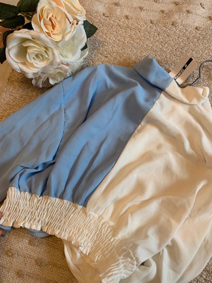 Chemise bicolore - photo numéro 7