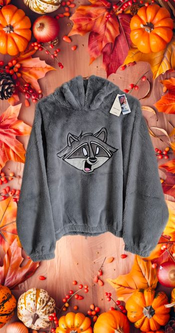 Pull undiz disney meeko pocahontas neuf avec étiquette
