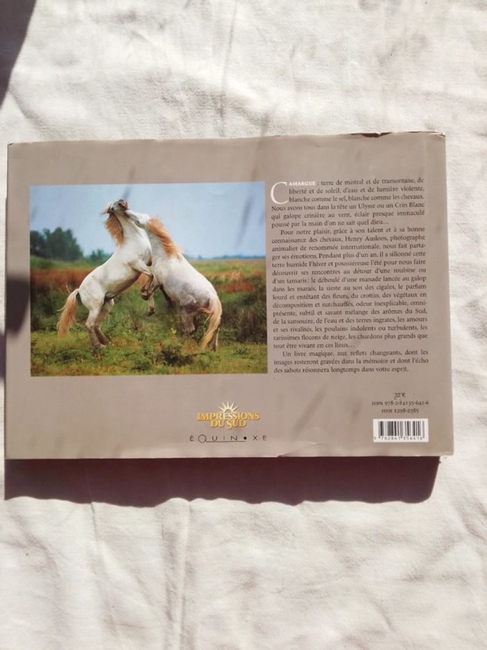 Camargue des chevaux - photo numéro 2