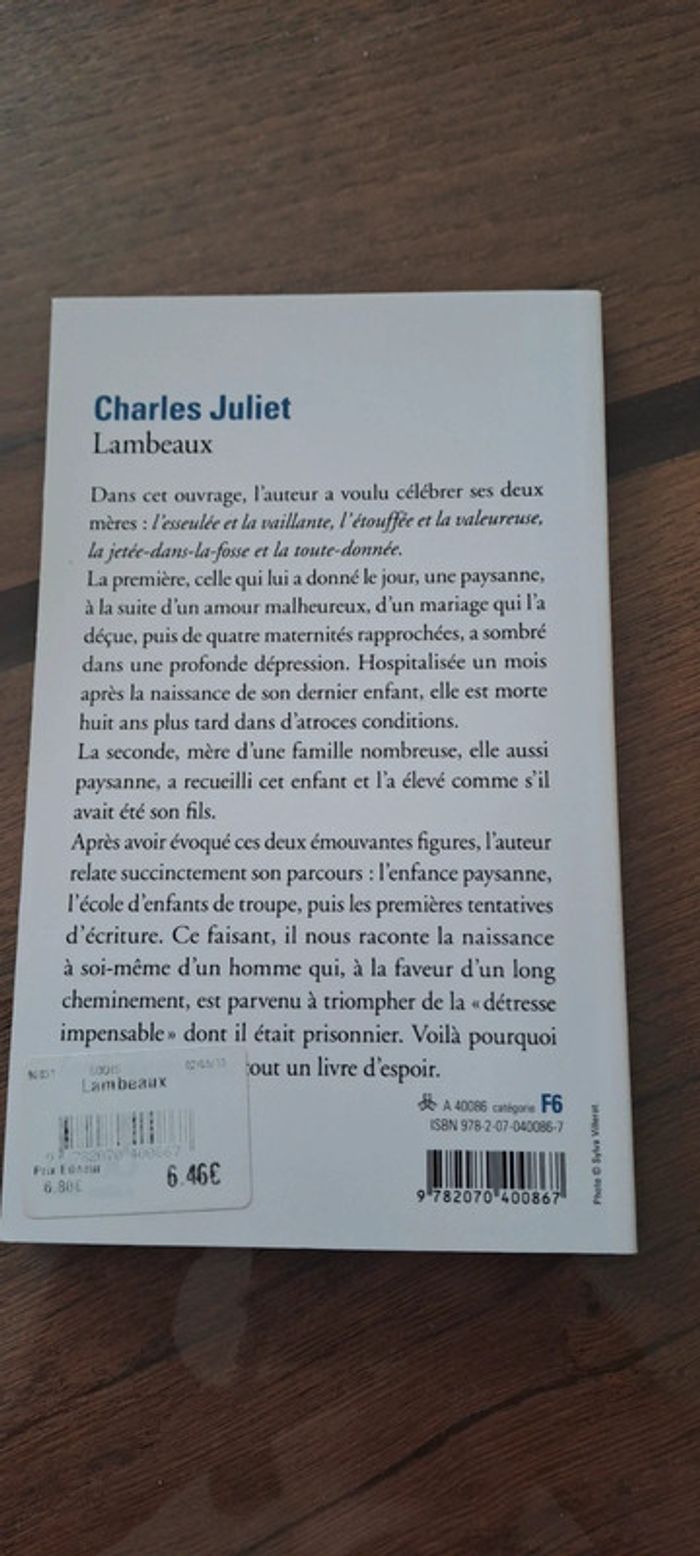 (Réduction) Livre Lambeaux - photo numéro 2