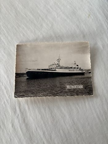 Carte postale vintage Alger