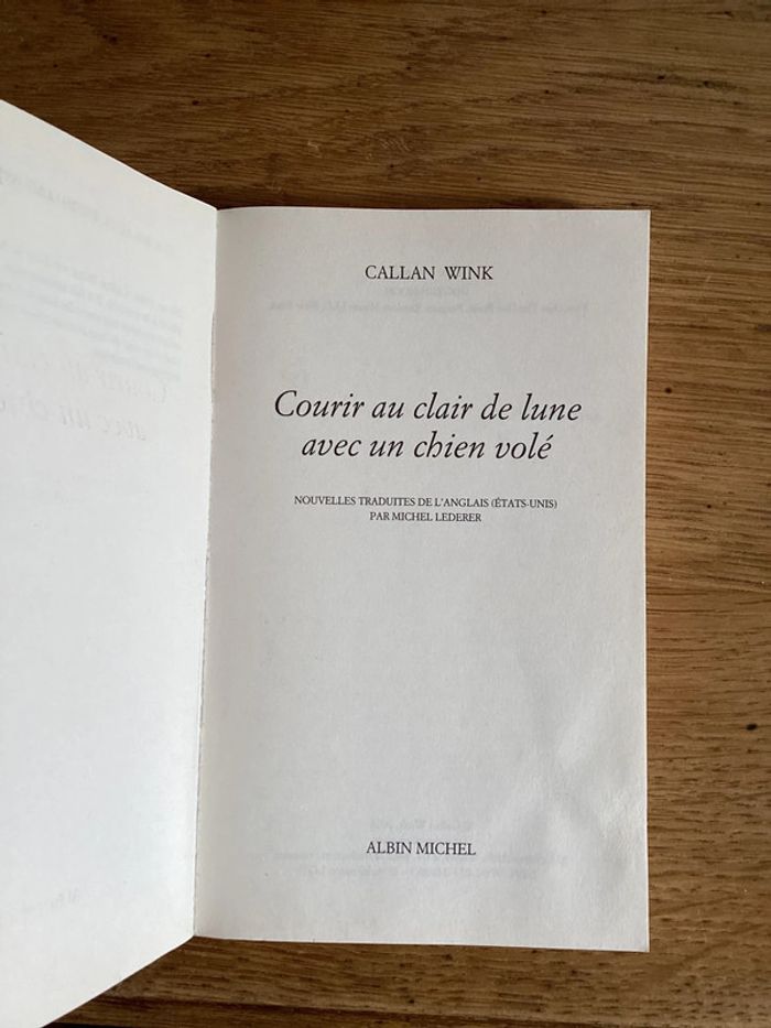 Livre « courir au clair de lune avec un chien volé » - photo numéro 4