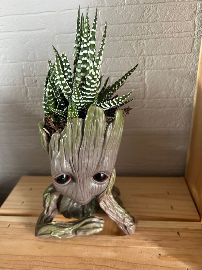 Groot