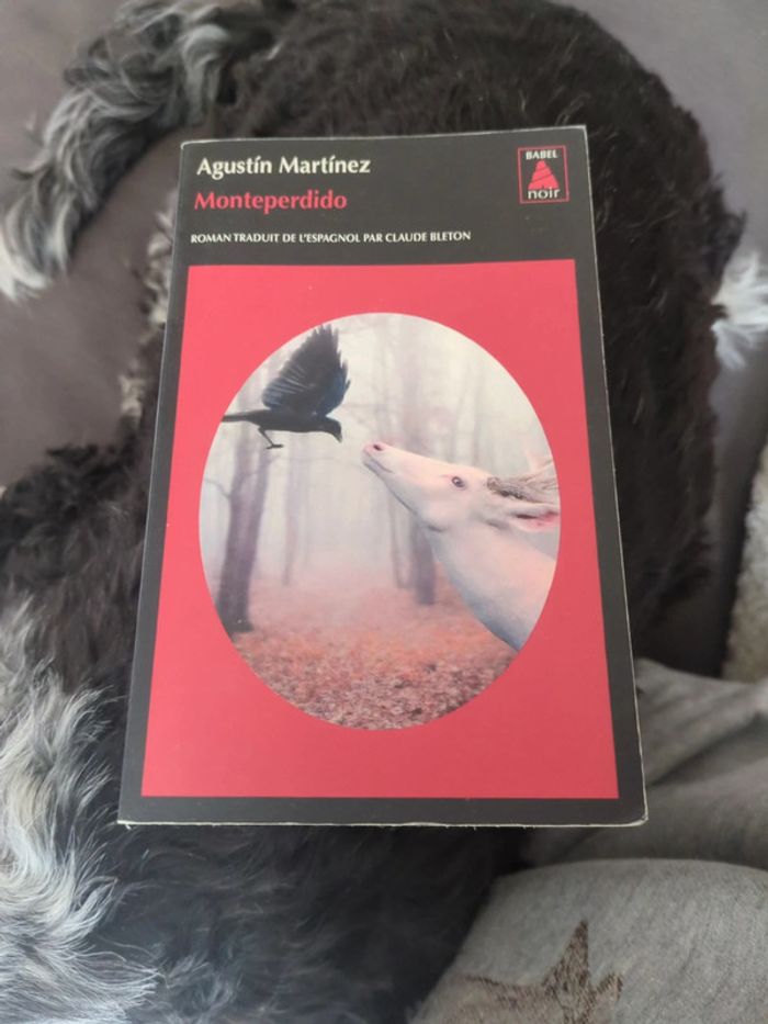 Monteperdido de Martinez