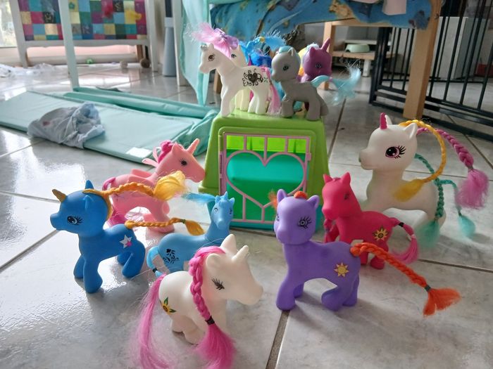 Poneys et caisse de transport