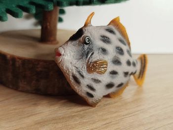 Figurine poisson tropical Animal de la Mer