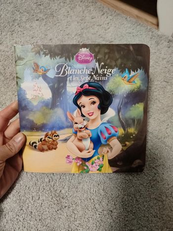 Blanche neige et les 7 nains