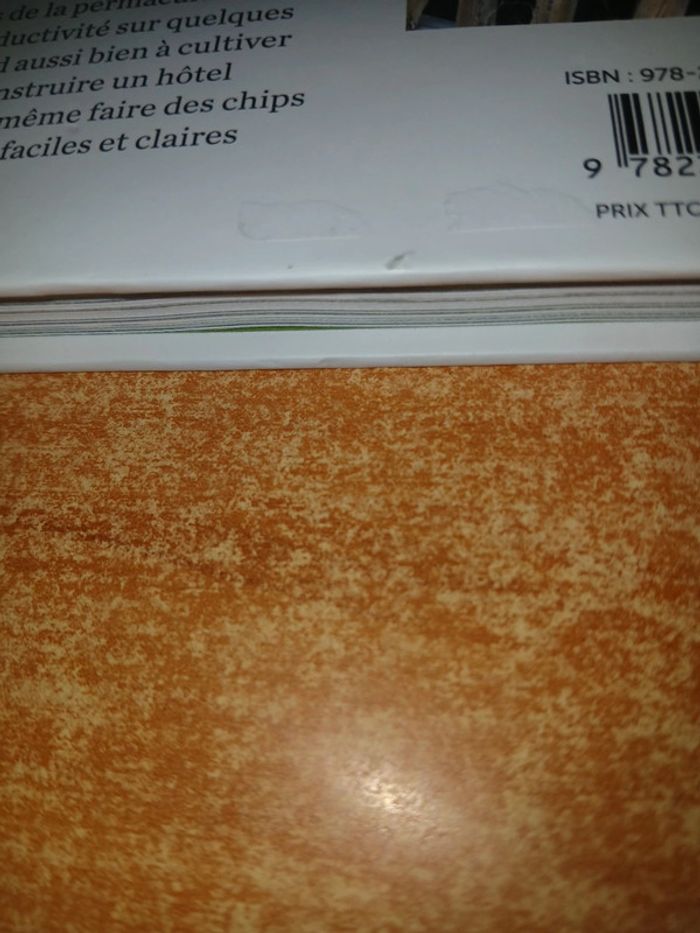 Mon petit potager bio sur 15 m2 - photo numéro 3