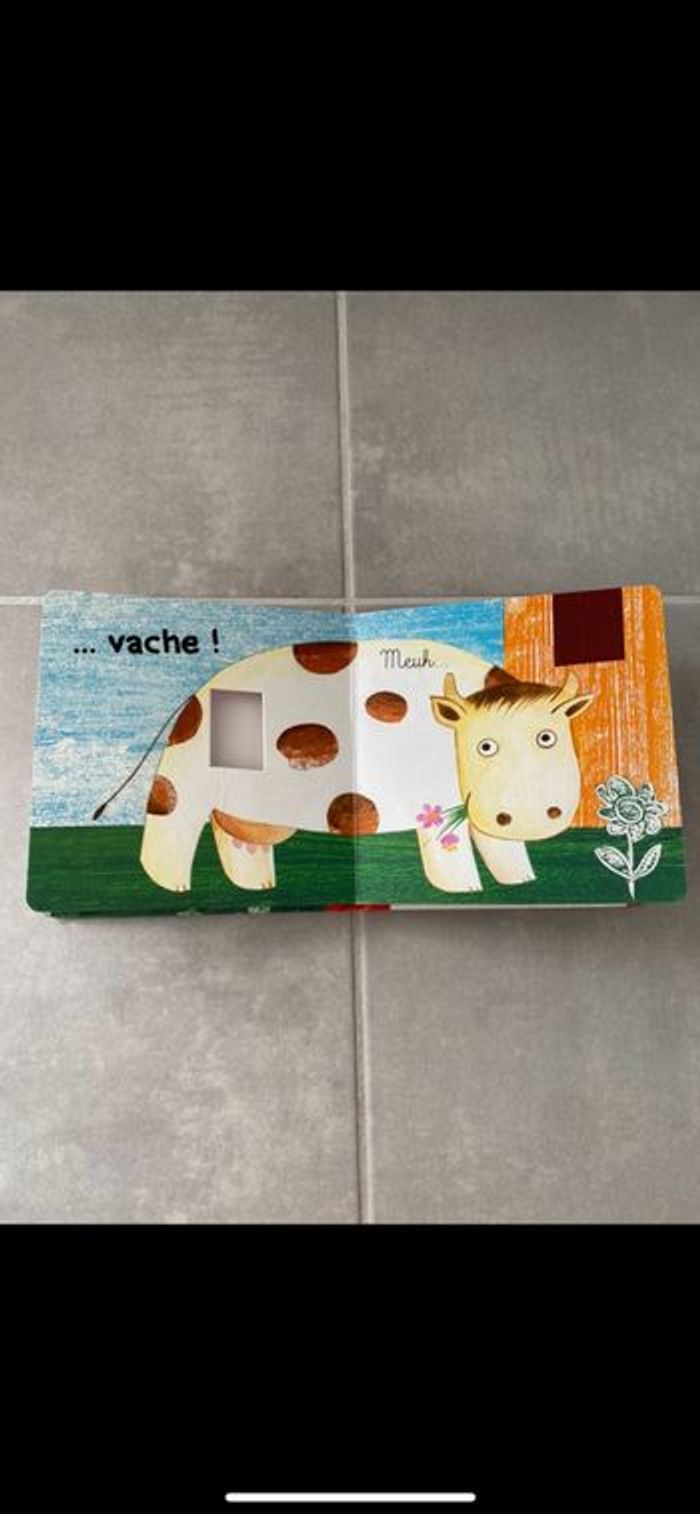 Livre Coucou je vis ici ! - photo numéro 9
