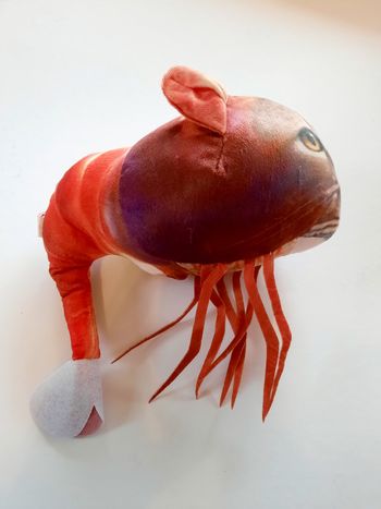 Peluche Trippi Troppi brainrot