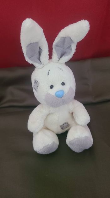 LAPIN LIÈVRE DES NEIGES Lapin Blossom Mes Amis au Nez Bleu