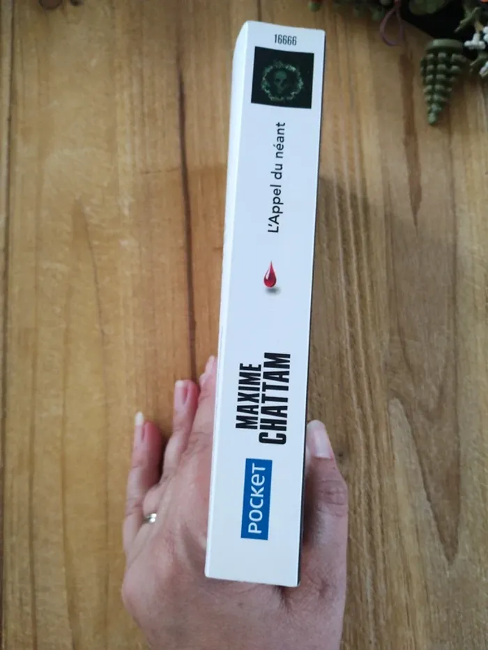 Saga "Ludivine Vancker" - Tome 1 à 3 - Maxime Chattam - photo numéro 14