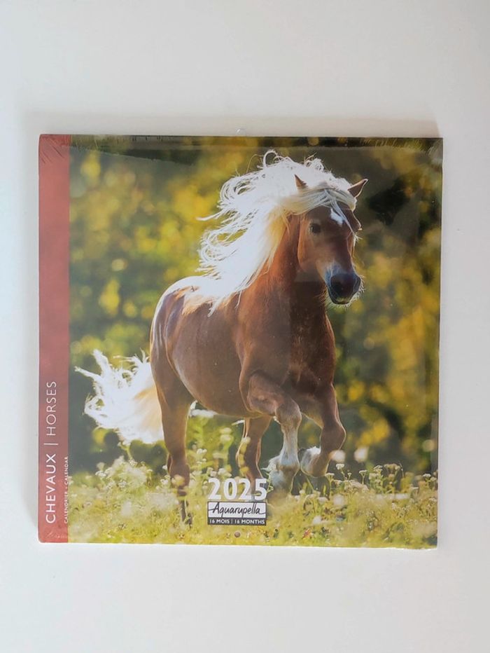 Calendrier 2025 chevaux 16 mois / Aquarupella
