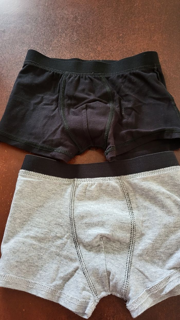 Boxer - photo numéro 4