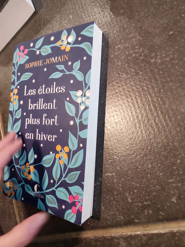 Livre : Les étoiles brillent plus fort en hiver - photo numéro 3