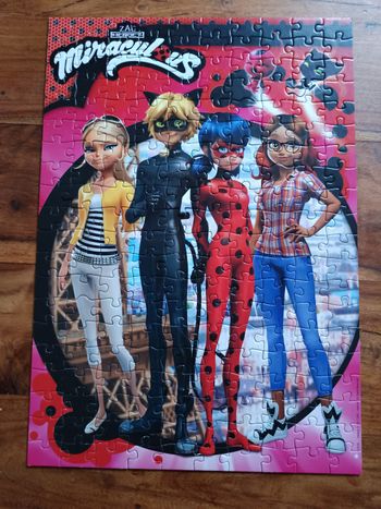Puzzle miraculous