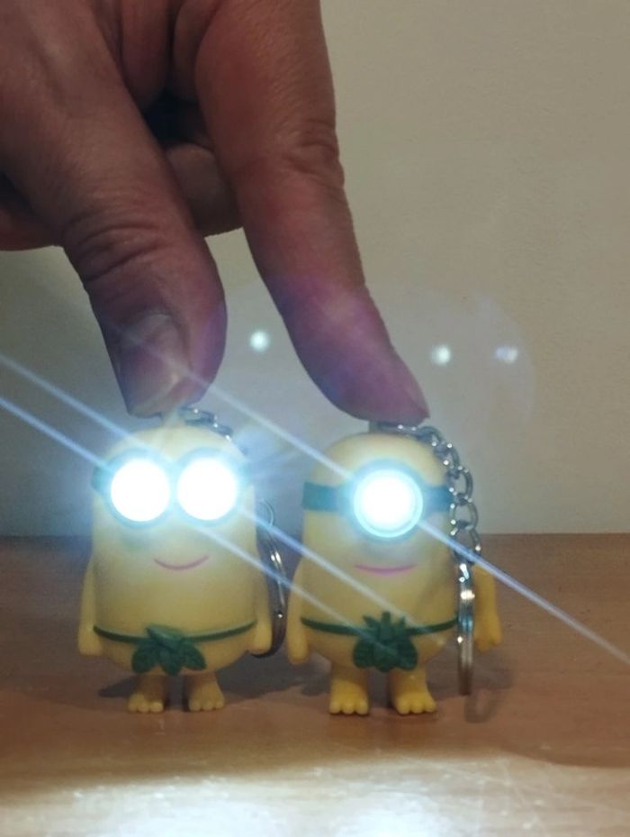 Lot de 2 porte-clés Minions - photo numéro 2