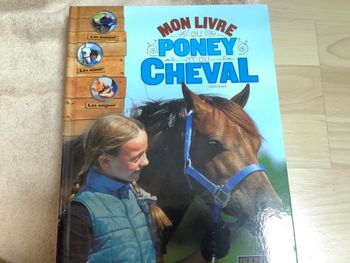 Poney et cheval