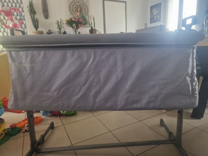 Cododo - photo numéro 4