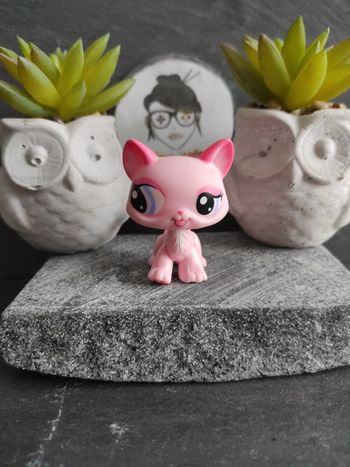 Littlest Petshop LPS Pet Shop chat main coon 1313 cat maincoon #geektradelpschat