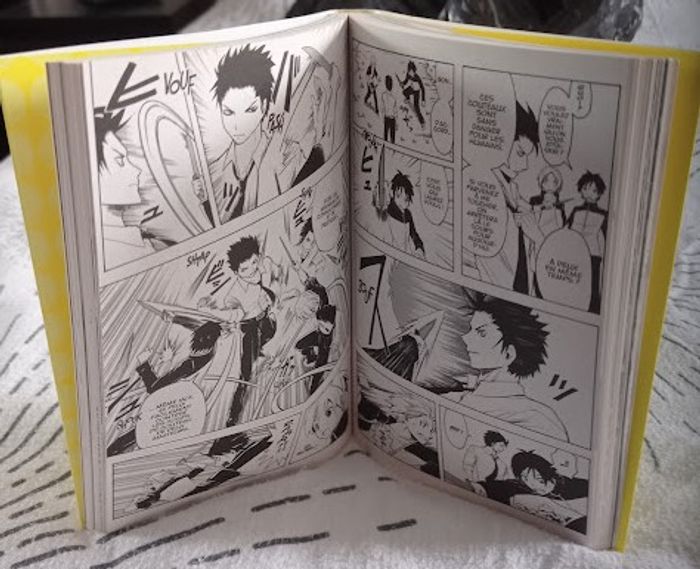 Manga - photo numéro 3