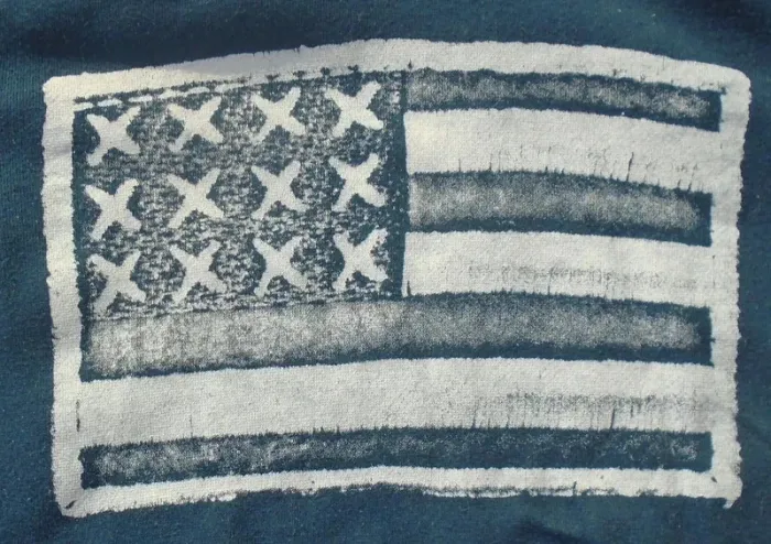 Joli sweat à capuche USA garçon 8 ans (126-131 cm) - photo numéro 2