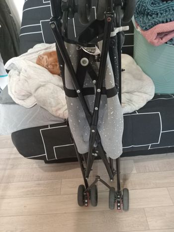 Poussette canne safety