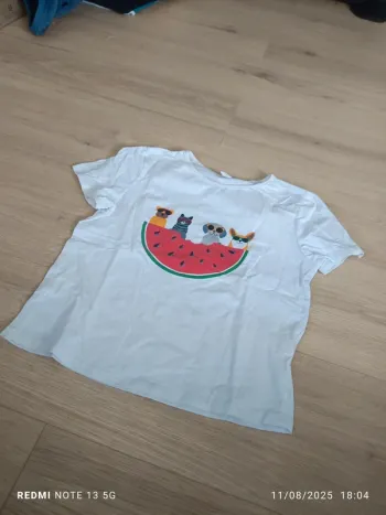 Magnifique t-shirt pastèque avec chien et chat shein taille 10 ans