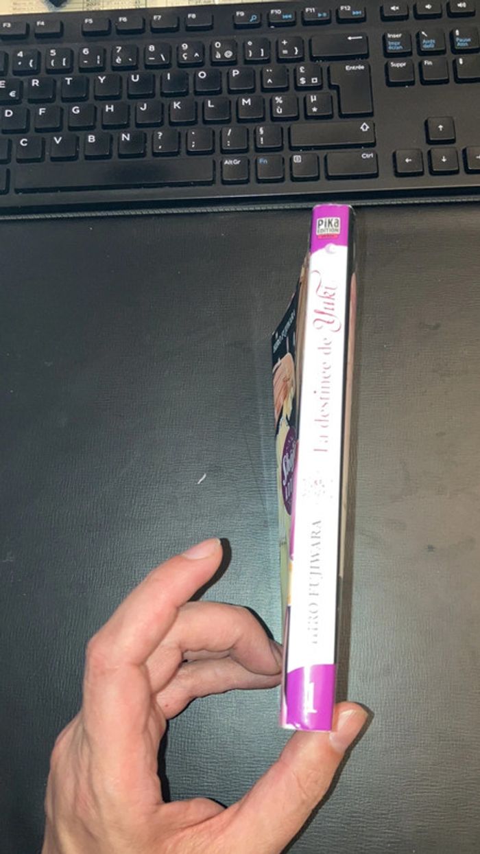 Manga. La Destinée de Yuki. Tome 1. - photo numéro 4