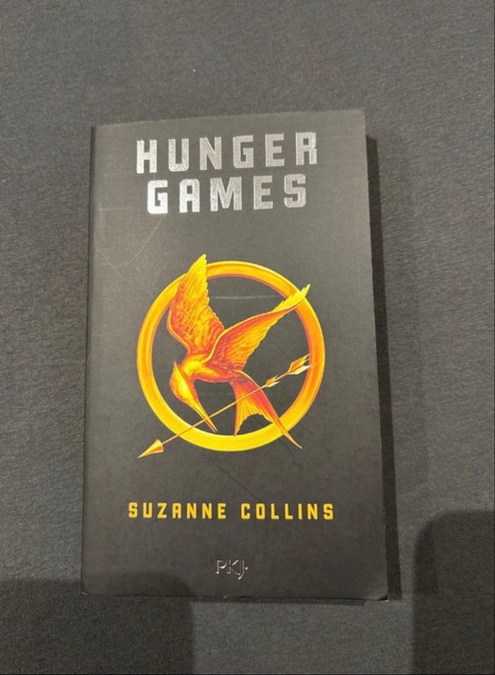 Livres  Hunger Game - photo numéro 2
