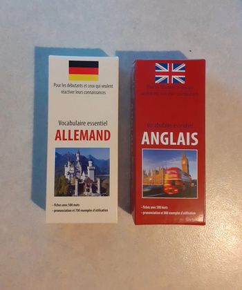 Lot de 2 boîtes de vocabulaire