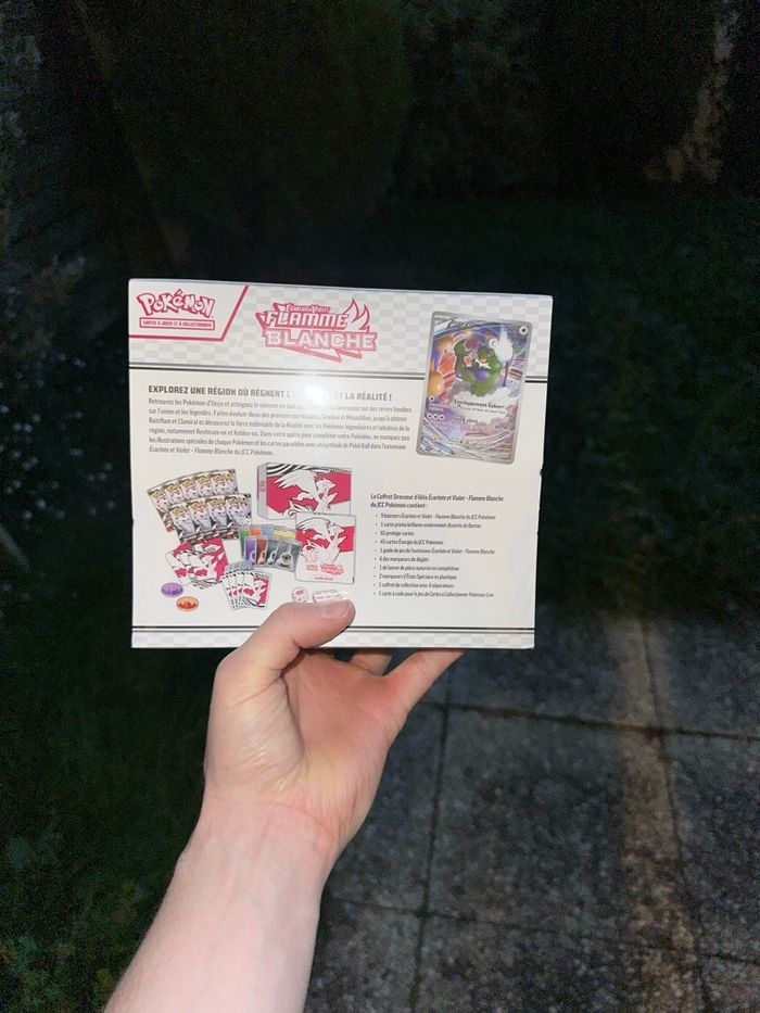 Pokémon - photo numéro 4