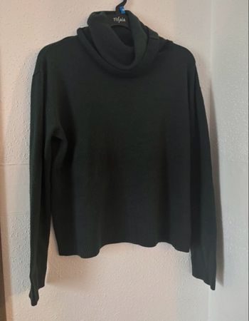 Pull col roulé 