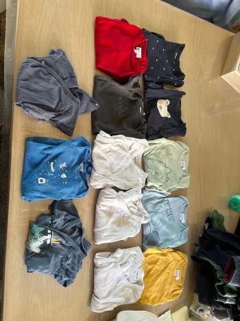 Lot de 13 bodies 12 mois