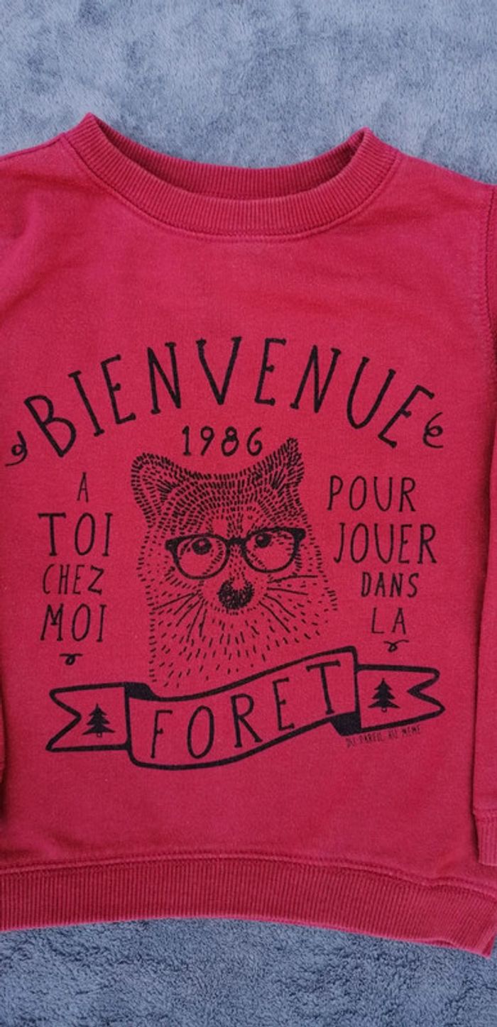 Sweat DPAM - 3 ans - Renard rouille - photo numéro 2