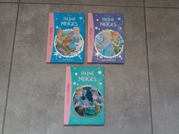 Lot de 3 livres La Reine des neiges Disney - La bibliothèque rose