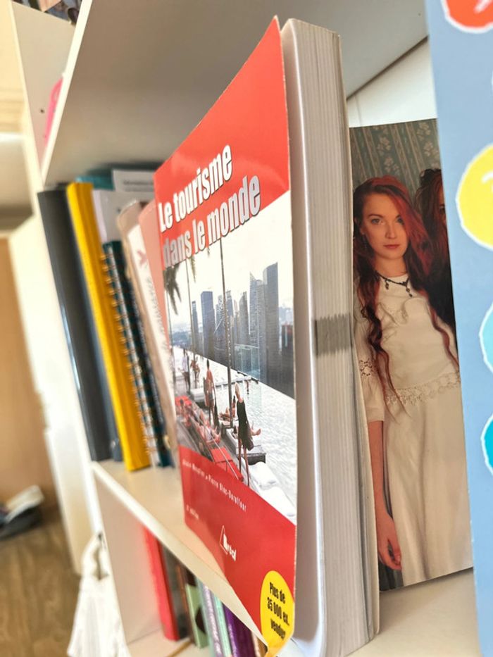 Le tourisme dans le monde - photo numéro 2