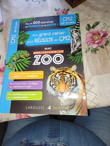 Mon grand xahier pour réussir en cm2