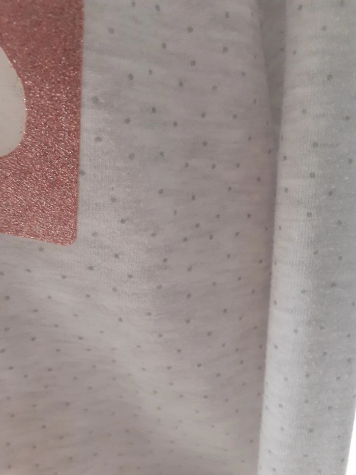Sweat gris clair de la marque primark jamais porté - photo numéro 4