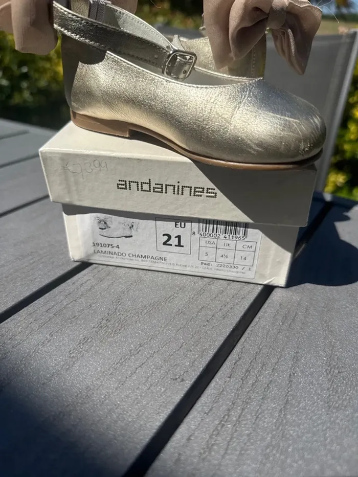 Ballerine andanines - photo numéro 4